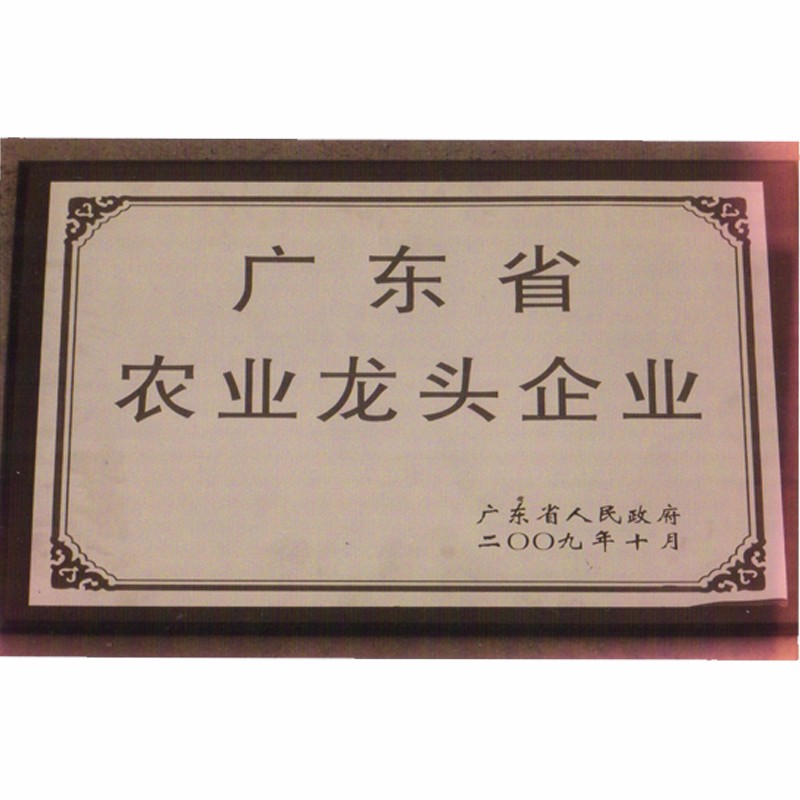 广东省农业龙头企业