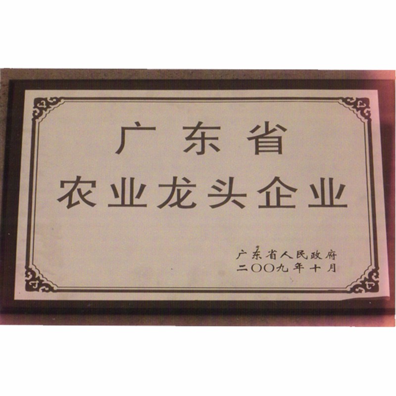 龙头企业